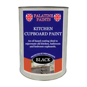Kitchen Cupboard Paint