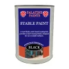 Stable Paint