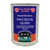 Two Hour Gloss Paint