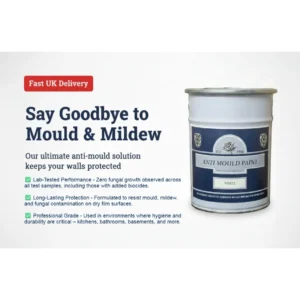 Alternative view of Anti Mould Paint