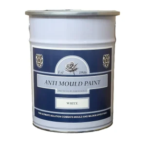 Anti Mould Paint