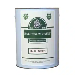 Bathroom Paint