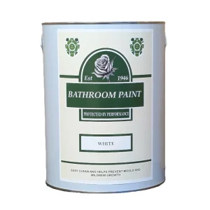 Bathroom Paint