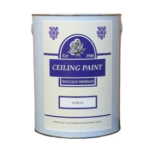 Ceiling Paint